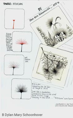 the instructions for dandelion drawings are shown