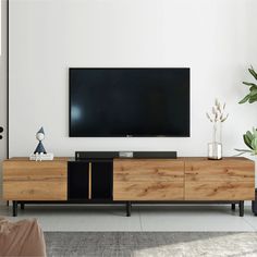 a flat screen tv sitting on top of a wooden entertainment center next to a potted plant