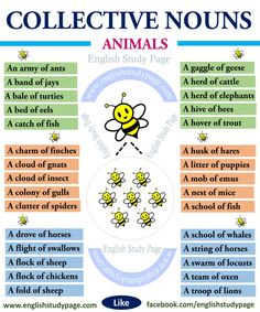 a poster with different types of animals in english and spanish language, including the words collective