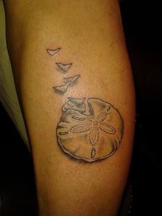 a person with a tattoo on their leg that has a bird flying over the sand dollar