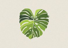 a green heart shaped plant leaf on a white background with the word love written below it