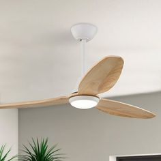 a white ceiling fan with wooden blades in an empty living room, next to a potted plant