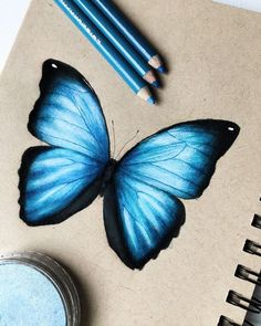 a blue butterfly sitting on top of a piece of paper next to some pencils