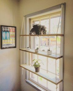 an image of a window with plants on the windowsills in front of it