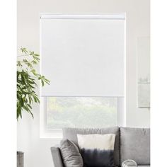 a living room with a gray couch and white roller shades on the window sill