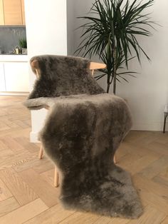 the chair is made out of sheepskin and sits in front of a potted plant