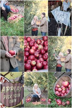 several pictures of people picking apples from an apple farm