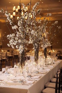 there are many vases with white flowers on the tables in front of each other