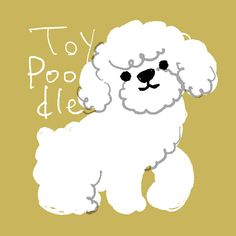 a white poodle dog with the words toy poodle on it's side