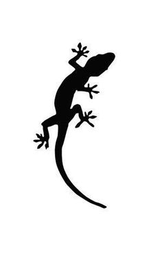 the silhouette of a lizard on a white background