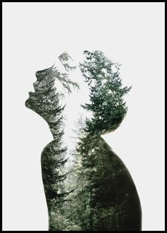 the silhouette of a person with trees on their head, in front of a white background