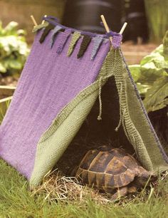 a tortoise laying in the grass next to a tent