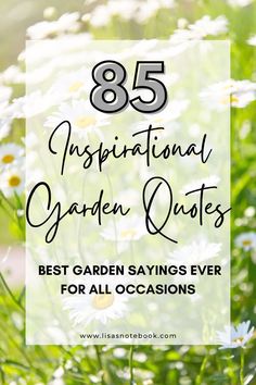 white daisies with text overlay that reads 85 inspirational garden quotes best garden sayings ever for all occasions