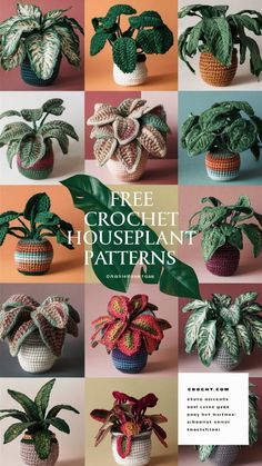 crochet houseplant patterns for potted plants and other home decor items