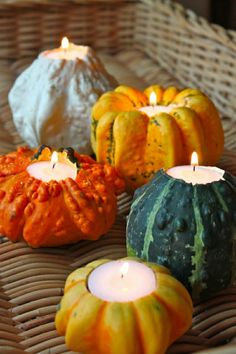 pumpkins and gourds with candles on a wicker tray