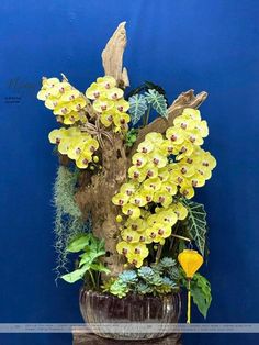 a vase filled with yellow flowers sitting on top of a wooden table next to a blue wall