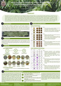 an information poster describing the different types of plants and their names in english or spanish