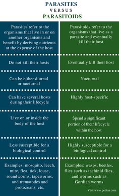 the differences between parasites and parasitoids in each other's life