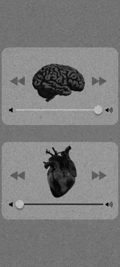 the heart and brain are shown in this black and white photo, with arrows pointing to each other