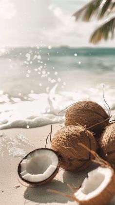 coconuts on the beach with waves coming in from the ocean and palm tree leaves