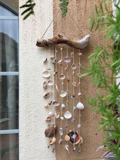 a wall hanging made out of seashells and driftwood on the side of a building