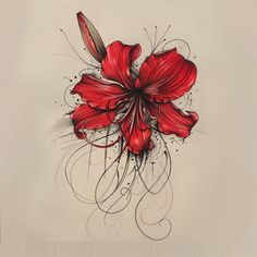 Red Spider Lily Tattoo Design Pack Red Spider Lily Tattoo Black, Red Spider Lily Tattoo Shoulder, Dragon With Red Spider Lily Tattoo, Spider Lily Design, Spider Lily Tattoo Design, Red Spider Lily Tattoo Design, Red Spider Lily Sketch, Red Spider Lily Tattoo