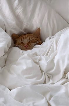 an orange cat sleeping on top of a white comforter in a bed with sheets