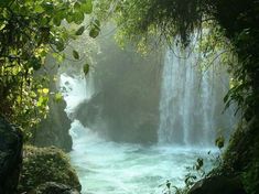 a large waterfall in the middle of a forest filled with green plants and water flowing down it's sides