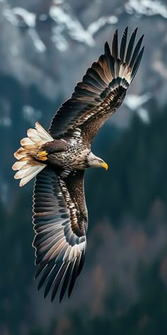 an eagle soaring through the air with mountains in the background