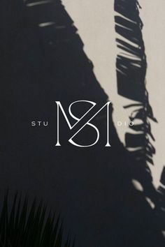 the shadow of a palm tree is shown on a black and white background with the word ms studio