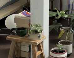 three potted plants sitting on top of wooden stools next to each other in front of a bookshelf