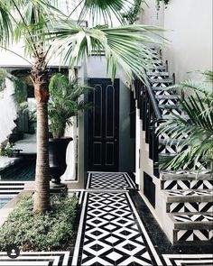 a black and white tiled walkway leading up to a palm tree in front of a house