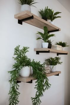 three wooden shelves with plants on them