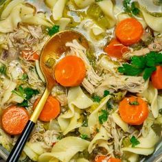 chicken noodle soup with carrots, celery and parsley in a pot