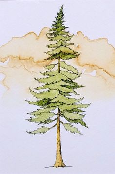 a watercolor and ink drawing of a pine tree