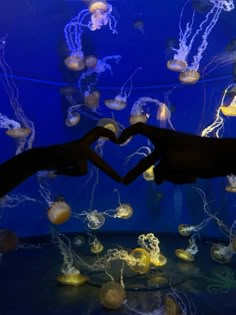 two hands making a heart shape in front of jellyfish tank with blue water and yellow lights