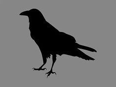 the silhouette of a black bird on a gray background