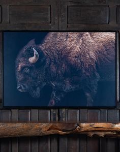 an image of a bison on the wall