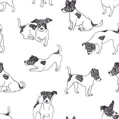 black and white drawing of dogs in different poses