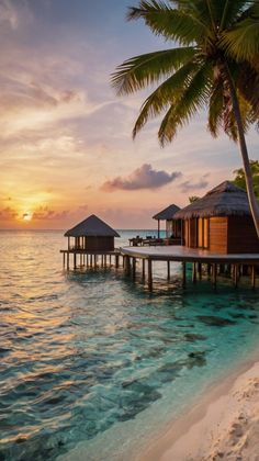 the sun is setting over an ocean with huts on stilts and palm trees in the foreground