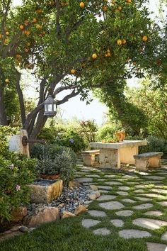 an orange tree is in the middle of a garden with stone walkways and benches