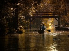 two people in canoes paddling under a bridge