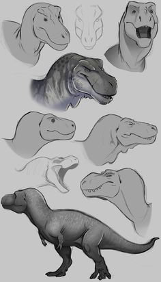 several different types of dinosaurs are shown in black and white