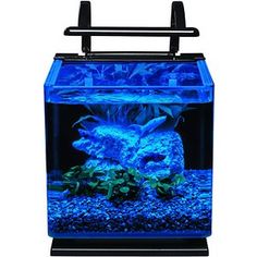 an aquarium that is blue and has plants in the bottom half, with water flowing from it