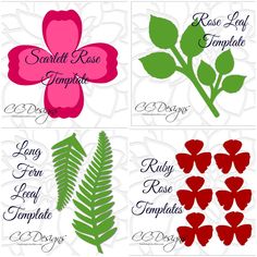 four different types of flowers and leaves with the names of each flower on them, all in