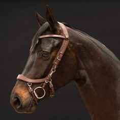 a brown horse with a bridle on it's head is shown in front of a black background