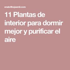 11 Plantas de interior para dormir mejor y purificar el aire