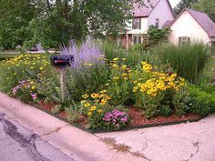 a flower bed in front of a house with cars parked on the street behind it