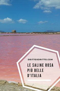 pink water with the words le saline rose d'italia