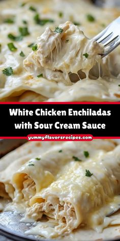 white chicken enchiladas with sour cream sauce